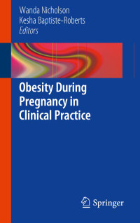 Image of Ebook Obesity During Pregnancy in Clinical Practice
