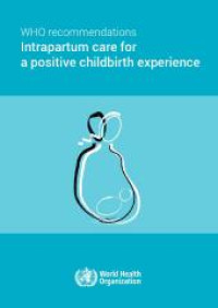 Image of Ebook WHO Recommendations Intrapartum Care for a Positive Childbirth Experience