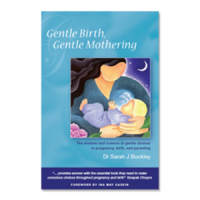 Image of Ebook Gentle Birth, Gentle Mothering