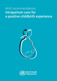 Image of Ebook WHO Recommendations Intrapartum Care for a Positive Childbirth Eperience